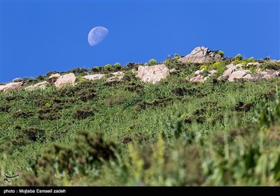 طبیعت بهاری آذربایجان غربی