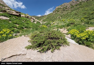 طبیعت بهاری آذربایجان غربی