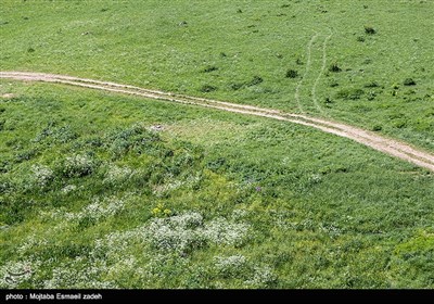 طبیعت بهاری آذربایجان غربی