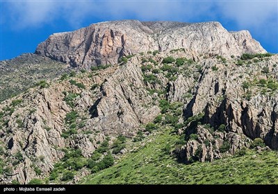 طبیعت بهاری آذربایجان غربی