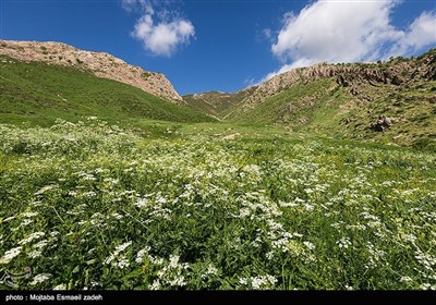 طبیعت بهاری آذربایجان غربی