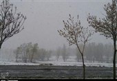 برف بهاری در 8 استان