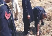 ڈی آئی خان؛ پولیس کی کارروائی میں 20 دستی بم برآمد