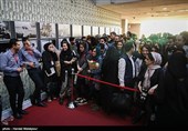 ششمین روز سی‌وششمین جشنواره جهانی فیلم فجر