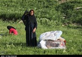 مشهد|طرح زنجیره تولید گوشت قرمز میان عشایر خراسان‌رضوی اجرایی شد