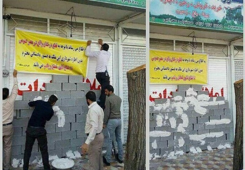 شیراز|برخورد با قطع‌کنندگان درختان معابر عمومی؛ درختان شیراز شناسنامه‌دار می‌شوند