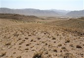 بوشهر| خشکسالی به یک میلیون هکتار مراتع استان بوشهر خسارت زد