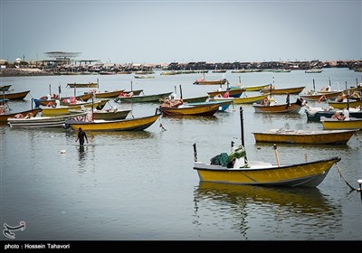 بندر صیادی بندر کنگ