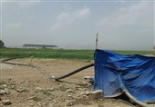 لرستان|فاجعه زیست‌محیطی در کوهدشت؛ کشت مزارع با فاضلاب+ تصاویر