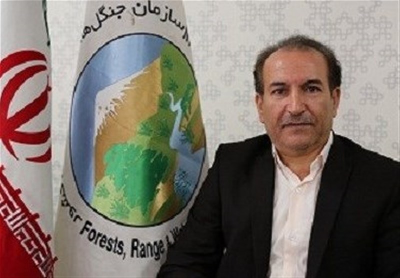 امتیاز بهره‌برداری از 15 درصد منابع طبیعی خراسان رضوی به مردم واگذار شد