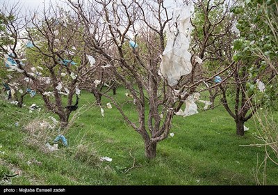 سونامی پلاستیک - ارومیه