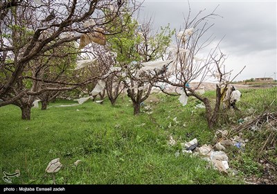 سونامی پلاستیک - ارومیه