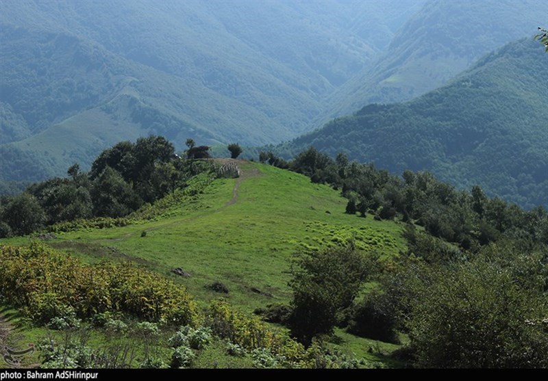 Fandoqloo Forest: A Scenic Natural Beauty in Northwestern Iran