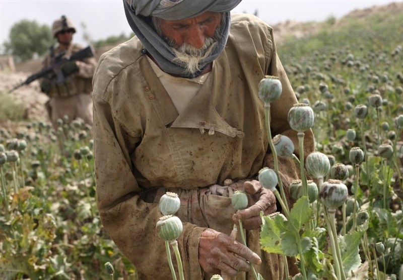 آمریکا بزرگترین قاچاقچی مواد مخدر در افغانستان را آزاد کرد