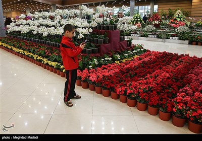 Tehran Hosts International Flower Show