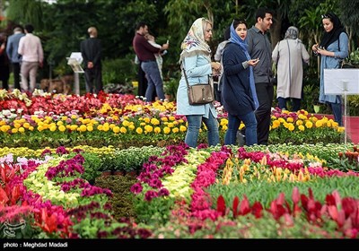 Tehran Hosts International Flower Show