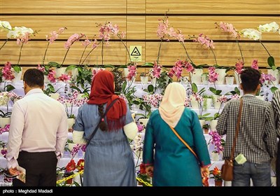 Tehran Hosts International Flower Show