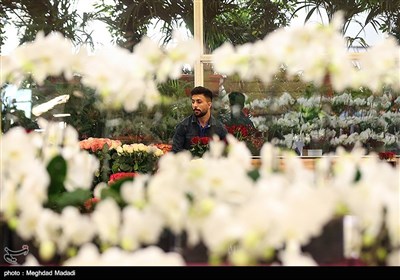 Tehran Hosts International Flower Show