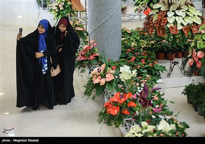 Tehran Hosts International Flower Show