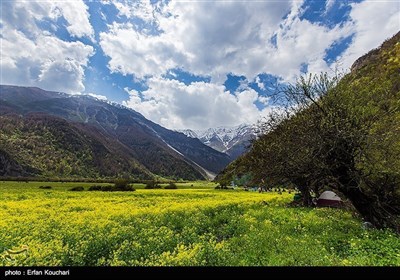 ایران کے شمال میں واقع &quot;دشت دریا سر&quot;