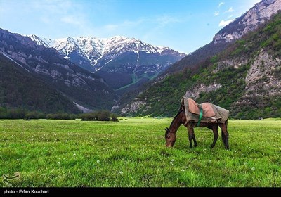 ایران کے شمال میں واقع &quot;دشت دریا سر&quot;