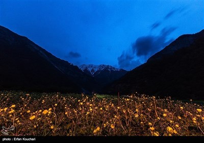 ایران کے شمال میں واقع &quot;دشت دریا سر&quot;