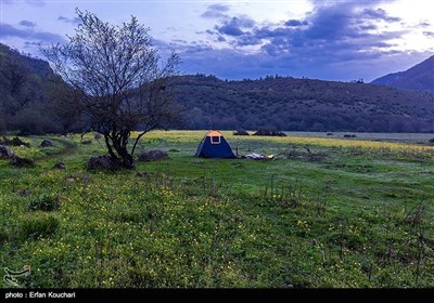 ایران کے شمال میں واقع &quot;دشت دریا سر&quot;