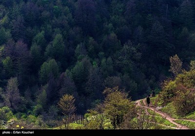 ایران کے شمال میں واقع &quot;دشت دریا سر&quot;