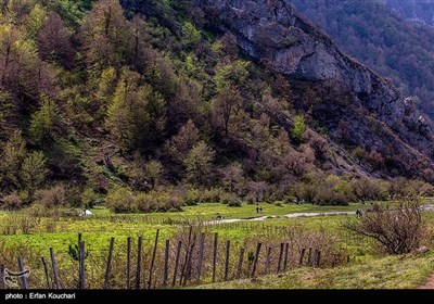 ایران کے شمال میں واقع &quot;دشت دریا سر&quot;