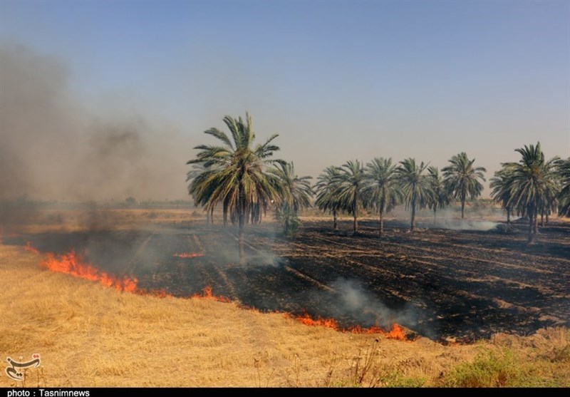 شعله‌های آتش به جان مزارع سراوان افتاد