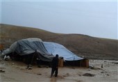 یاسوج|باران‌های سیل آسا بیش از 3 هزار دام عشایر کهگیلویه و بویراحمد را تلف کرد