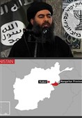 گمانه‌زنی‌ها درباره انتقال «ابوبکر البغدادی» به شرق افغانستان