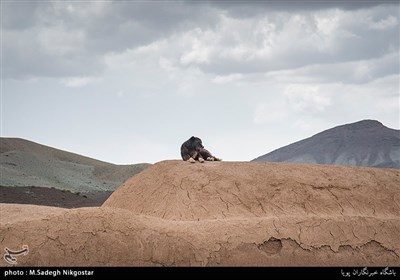 اردوی جهادی منتظران خورشید در روستای اسماعیل آباد ساوه