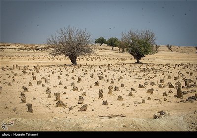 خلیج فارس کے &quot;جزیره هِندُرابی&quot; کی سیر