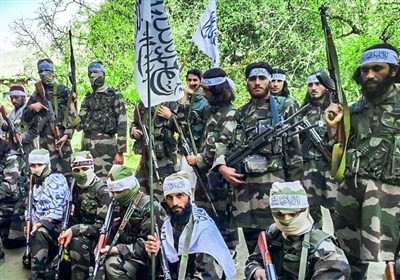 مصاحبه اختصاصی تسنیم| سخنگوی طالبان: آتشبس اتحاد طالبان را نشان داد/ دیگر گروهها در افغانستان حرفی برای گفتن ندارند