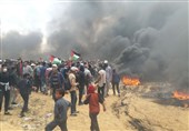 هشتمین جمعه بازگشت| مشارکت گسترده مردم غزه در «جمعه وفاداری به شهدا و مجروحان»