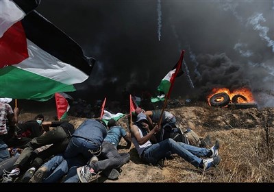 فلسطین میں جاری صہیونی جارحیت اور مسلمانوں کی مقاومت
