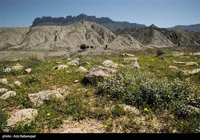 تنگه شیرز کوهدشت - لرستان