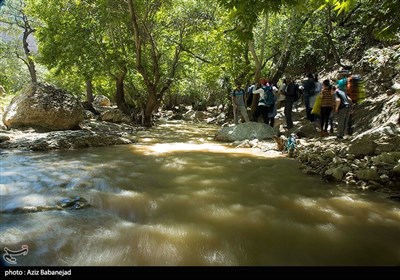 تنگه شیرز کوهدشت - لرستان