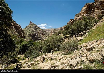 تنگه شیرز کوهدشت - لرستان