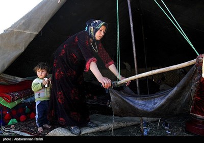 Nomadic Life in Iran's Western Region of Hamedan