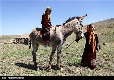 Nomadic Life in Iran's Western Region of Hamedan