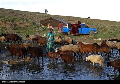 Nomadic Life in Iran's Western Region of Hamedan