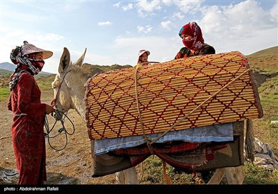 Nomadic Life in Iran's Western Region of Hamedan