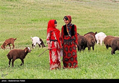 Nomadic Life in Iran's Western Region of Hamedan