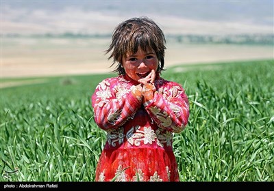 Nomadic Life in Iran's Western Region of Hamedan