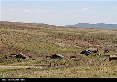 Nomadic Life in Iran's Western Region of Hamedan