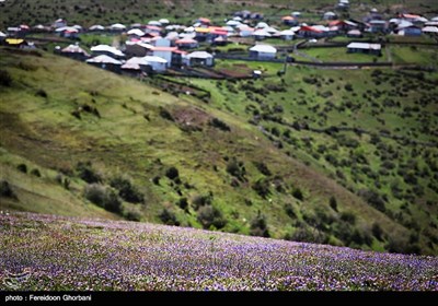 روستای لرزنه سوادکوه