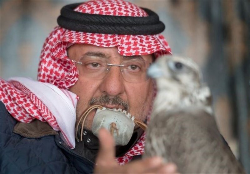 عربستان|صهیونیست‌ها بی‌صبرانه در جستجوی «بن نایف»هستند!