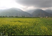 خالص ترین اکسیژن ایران را در سیلوانا استشمام کنید +تصاویر